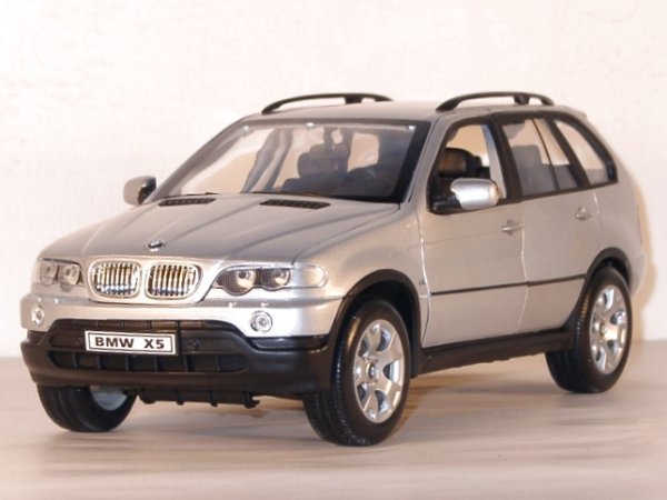 BMW X5 - silver - WELLY 1:18